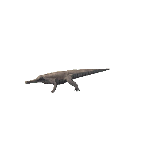 Machimosaurus Variation-2_All Animation